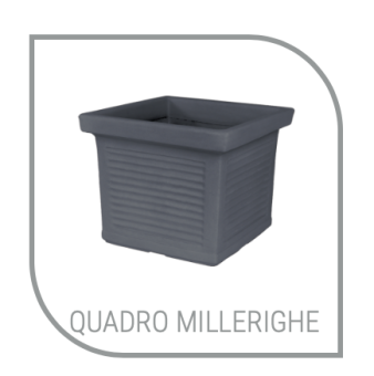 images/categorieimages/Quadro Millerighe-intro.png